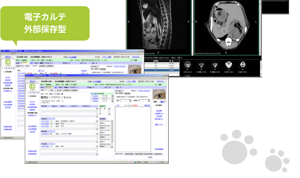 電子カルテ外部保存型
