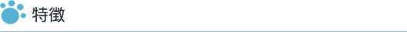特徴