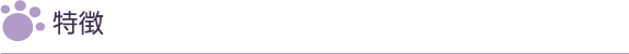 特徴