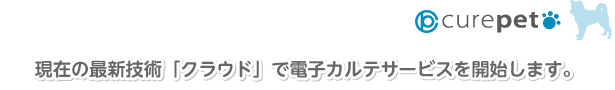 現在の最新技術「クラウド」で電子カルテサービスを開始します。